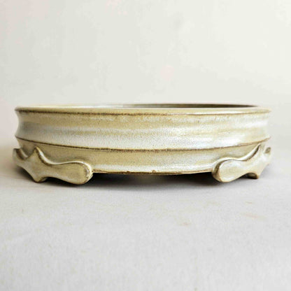 Round 8-inch yellow glazed ceramic bonsai pot for deciduous, flowering, and fruiting bonsai trees.