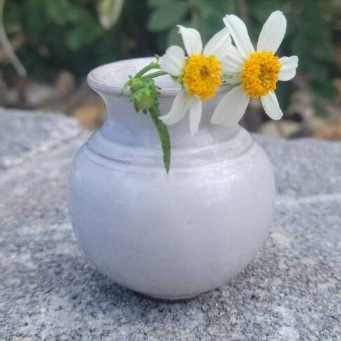 white ceramic flower pot Mini Mommy Pot – Keepsake Vase with Poem Card